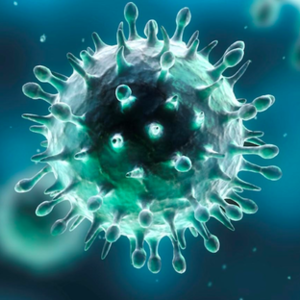 Aggiornamento coronavirus_ Le disposizioni di regione e prefettura