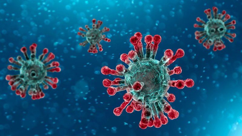 Advice to prevent infection: multilingual