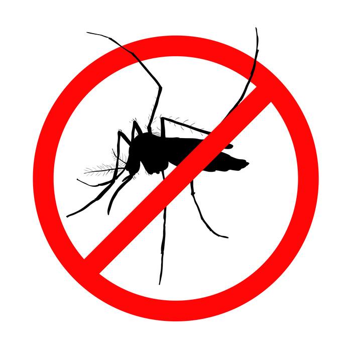 Disinfestazione zanzare