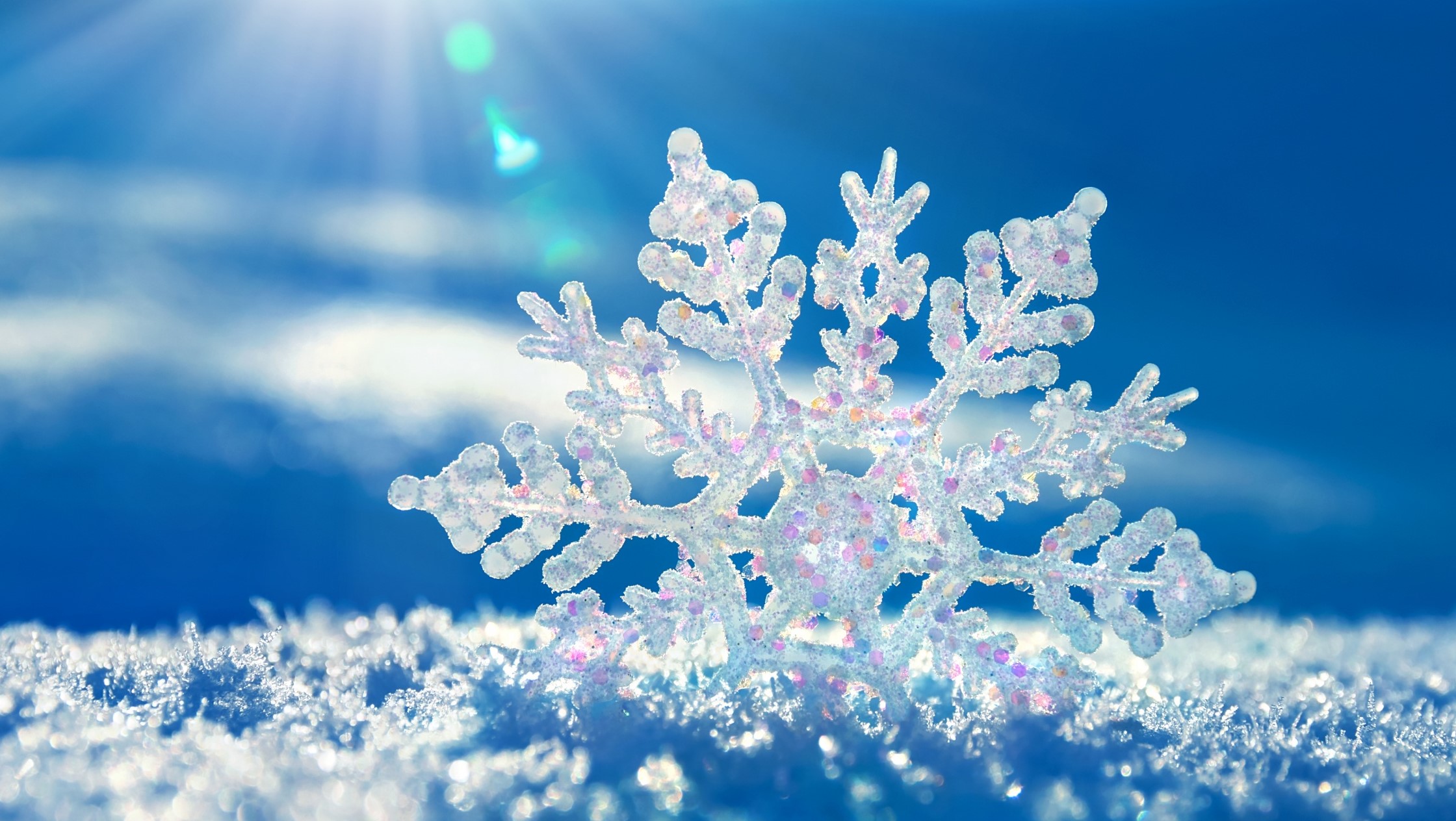 Allerta meteo neve: APERTURA SCUOLE