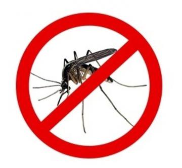 Disinfestazione zanzare